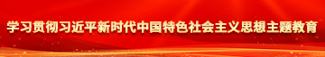 AV被插护士丝袜网站学习贯彻习近平新时代中国特色社会主义思想主题教育